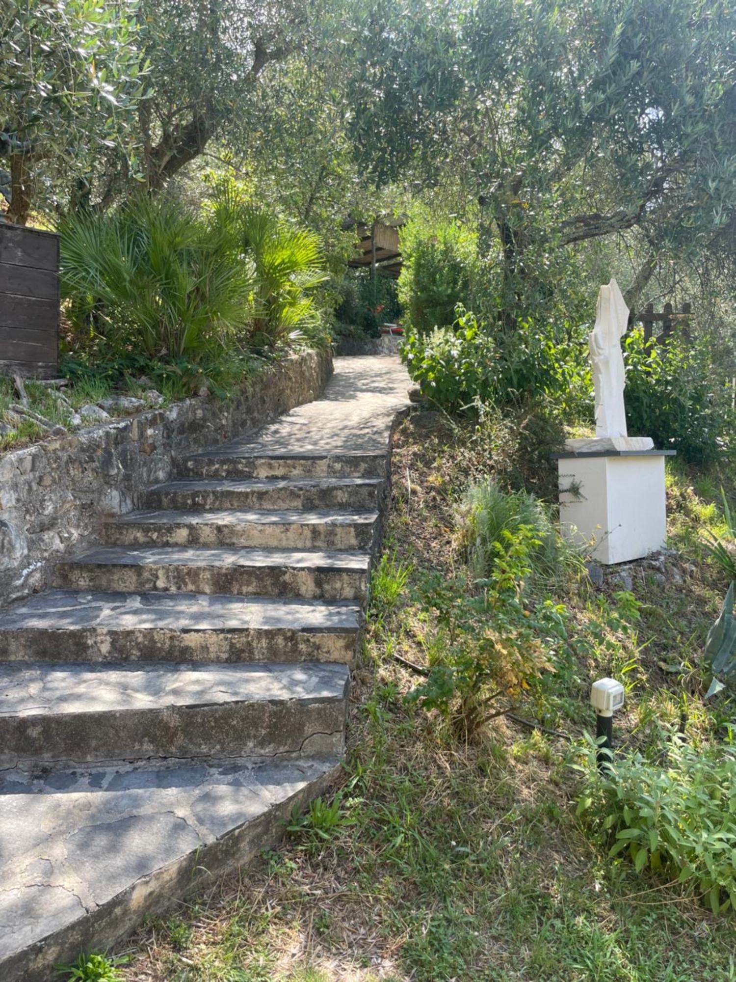 Bed and Breakfast Casa Del Sole Camaiore Exteriér fotografie
